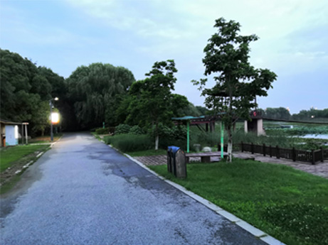山东青岛智慧路灯案例